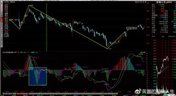 7月5日商品期貨午間收評
